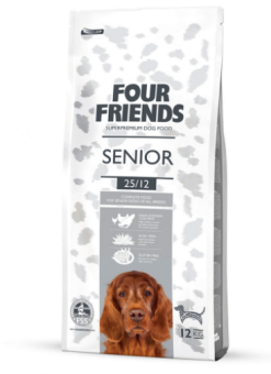 Four Friends - Senior 